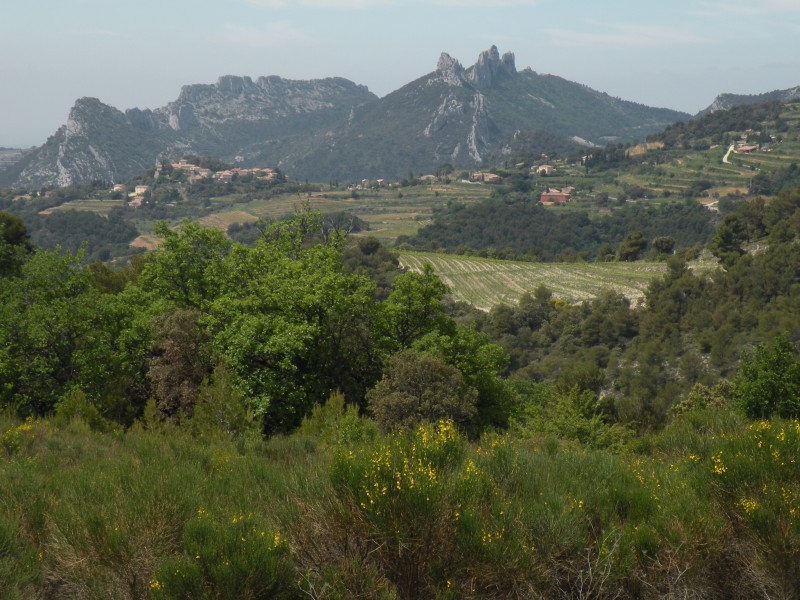 #9 jour3 : les dentelles jour3 : les dentelles