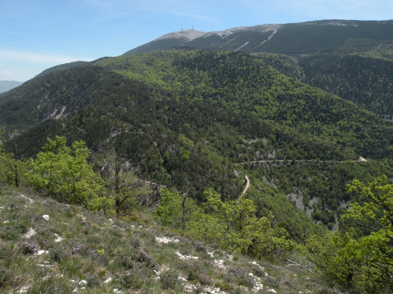 #14 jour5 : Le Ventoux vu du Sommet de la Plate jour5 : Le Ventoux vu du Sommet de la Plate