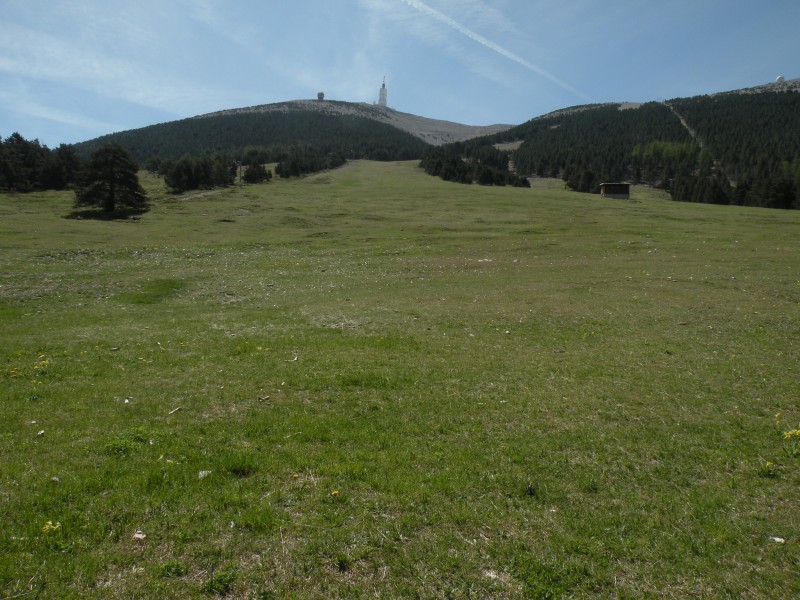 #11 jour5 : Le ventoux depuis Mont Serein jour5 : Le ventoux depuis Mont Serein