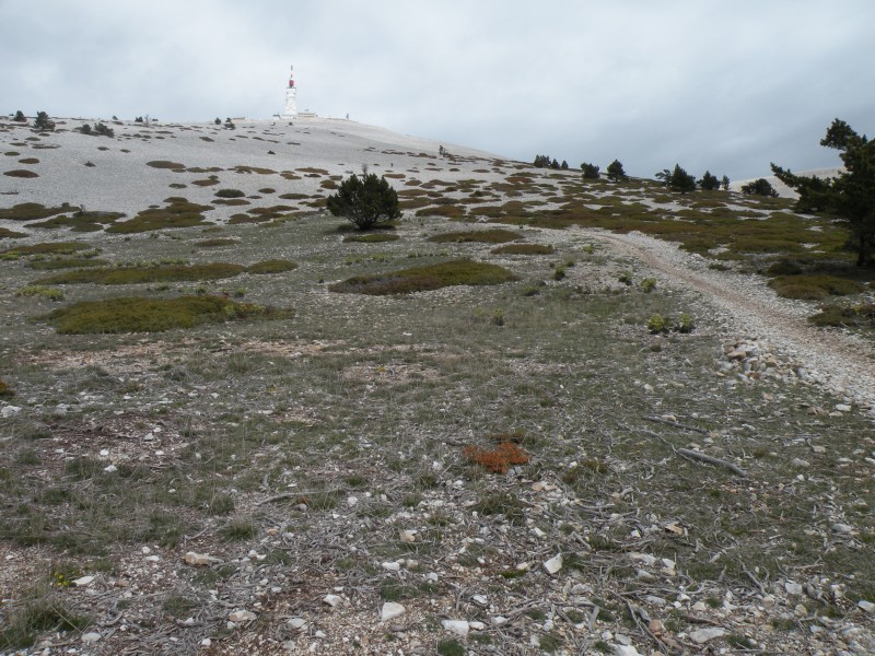 #7 jour2 : Le sommet du Ventoux jour2 : Le sommet du Ventoux