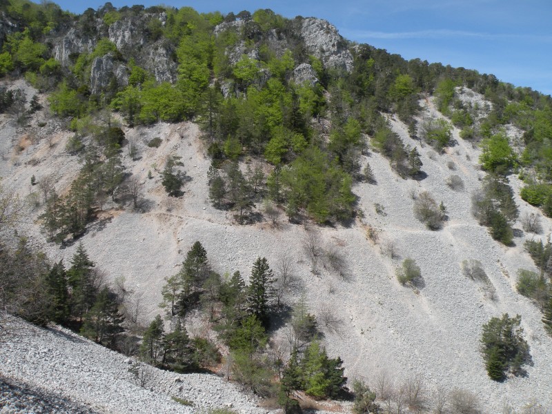 #13 jour5 : Le sentier passe en face jour5 : Le sentier passe en face
