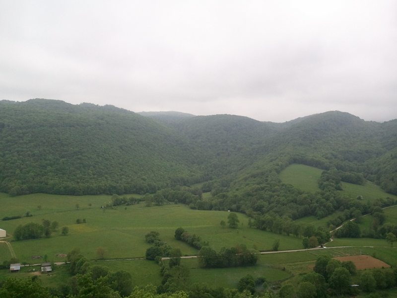#4 Massif de Campels. : C Massif de Campels. : C'est de ces bois que nous arrivons. C'est dans le fond de ce vallon que sort la rivière souterraine de "La Maoure".