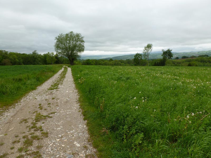 #2 sous le Crêt d sous le Crêt d'Angely