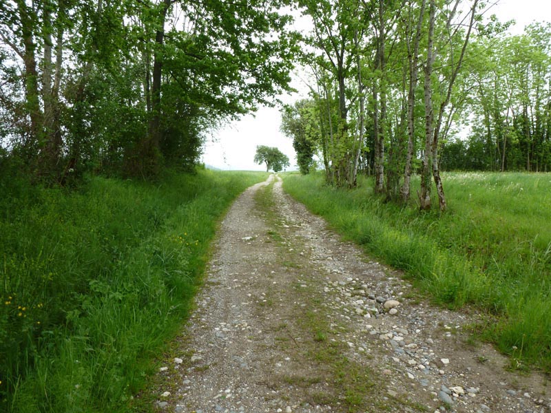 #3 dernière montée : au dessus d dernière montée : au dessus d'Arzy