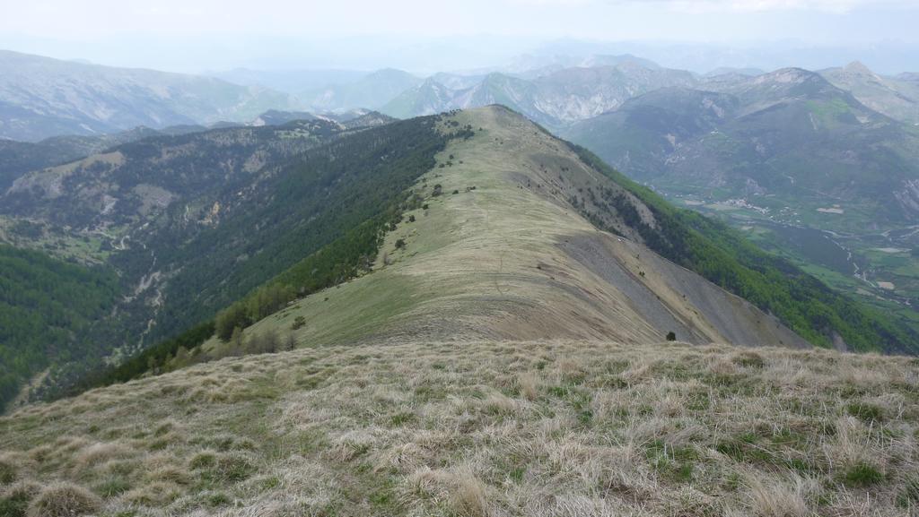 #7 Crête de la Colle : Vue depuis le sommet Crête de la Colle : Vue depuis le sommet