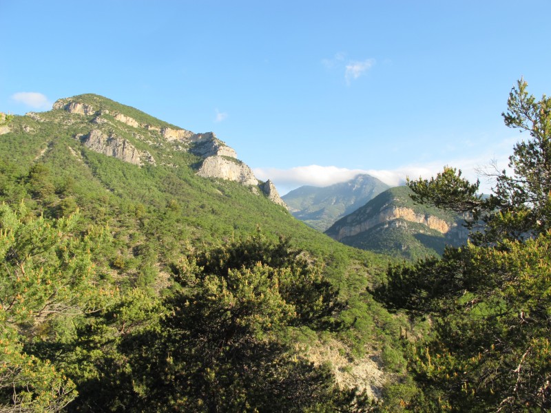 #2 matin : beau temps le matin matin : beau temps le matin