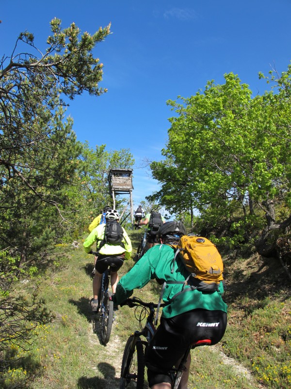 Le mirador : Attention, on vous surveille