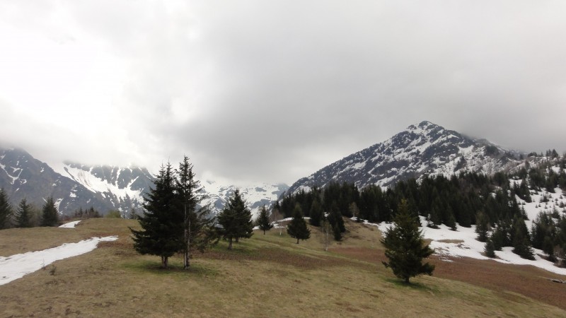 #2 alpage du Praillet : pas de neige dans les prés, juste sur le chemin ... alpage du Praillet : pas de neige dans les prés, juste sur le chemin ...