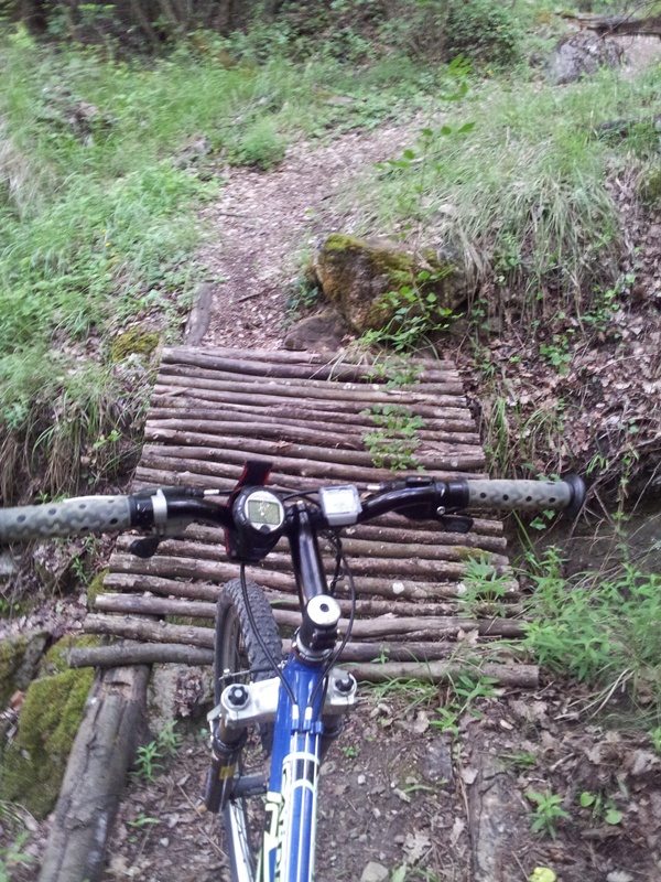 #5 Vallon du Papaton : La passerelle en bois avant la petite remontée sur la jonction. Vallon du Papaton : La passerelle en bois avant la petite remontée sur la jonction.