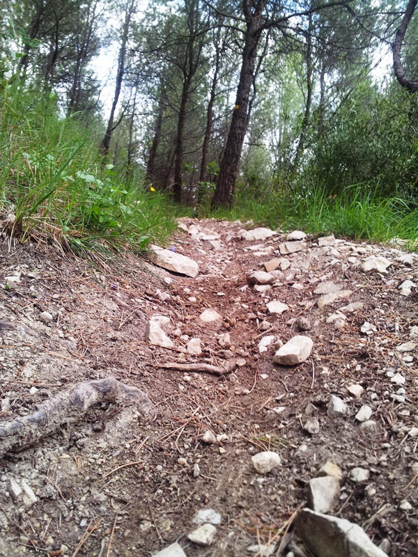 #2 Vallon du Papaton : Le sentier qui devient caillouteux Vallon du Papaton : Le sentier qui devient caillouteux