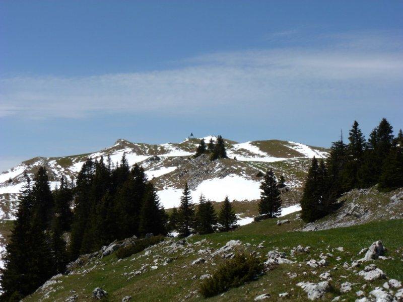 #4 Sommet en vue : Mont Tendre Sommet en vue : Mont Tendre