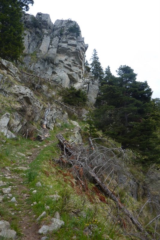 Remontée vers le Col d'Andrion : Tranquille à présent, je garde du jus pour la descente