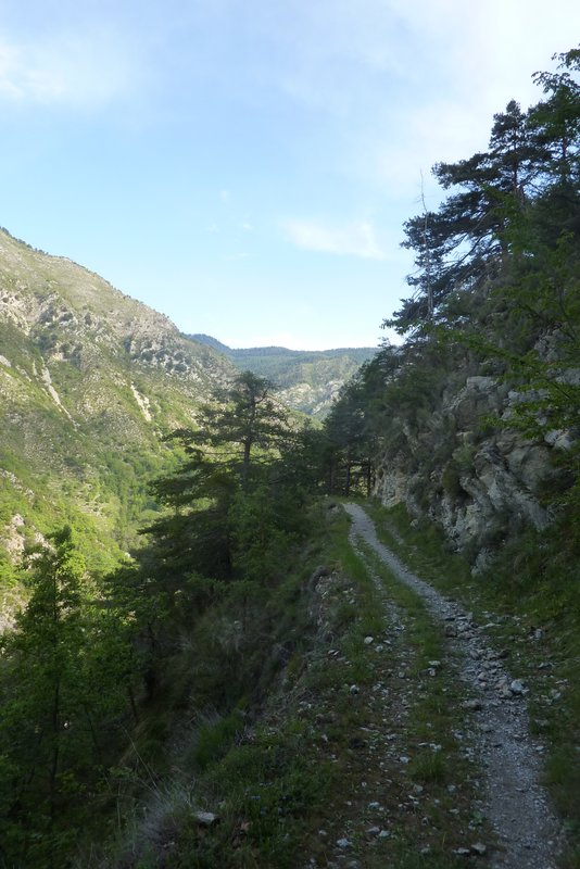 #1 Tire Andréani : Le seul morceau de ciel bleu de la journée Tire Andréani : Le seul morceau de ciel bleu de la journée