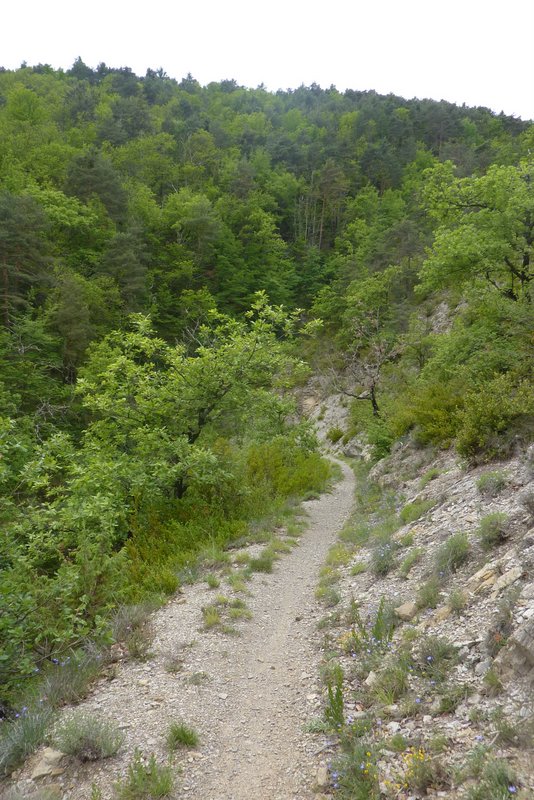 #19 Canal : Le long du canal Canal : Le long du canal