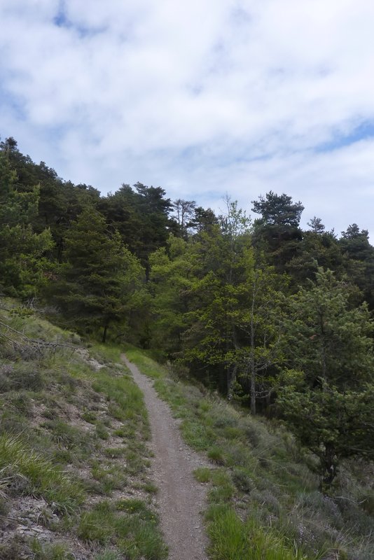 #16 Je file vers Cangelard : Le sentier est parfois bien lisse Je file vers Cangelard : Le sentier est parfois bien lisse