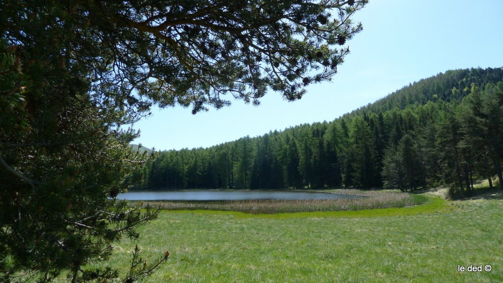 #6 le lac d le lac d'Esparon : Joli coin à pic nique