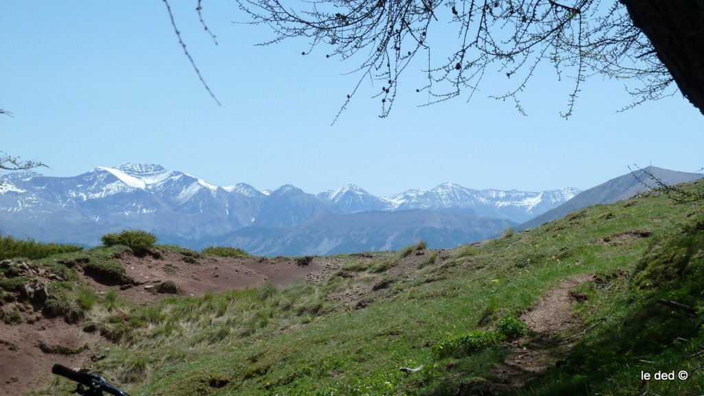 #8 Tête de l Tête de l'Estrop : Panorama au détour du sentier