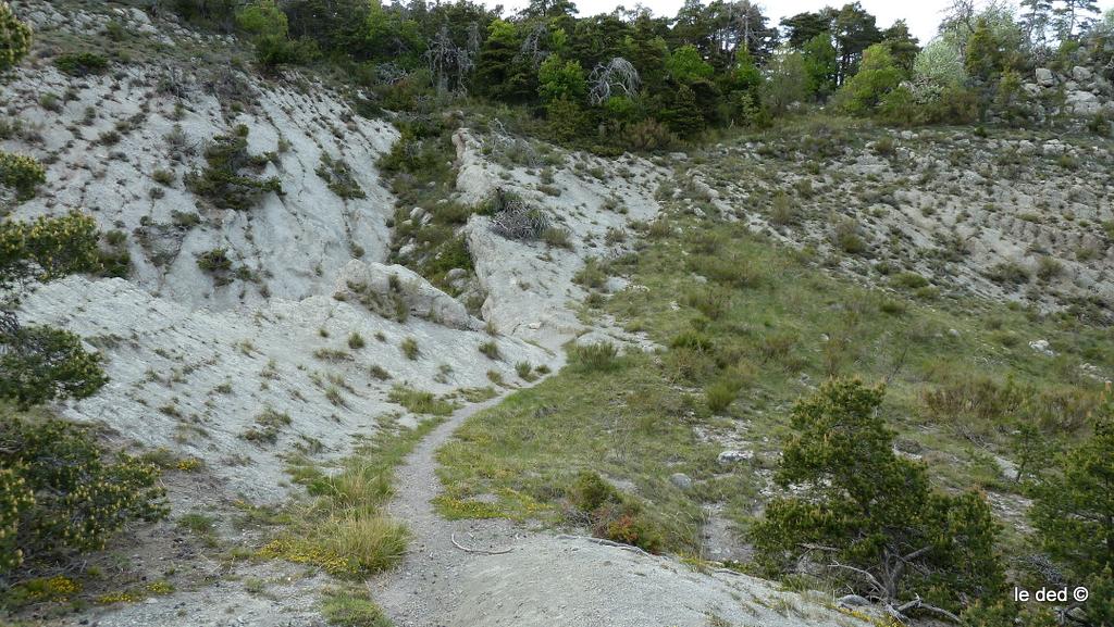 #21 le Patègue : Après le virage à droite, les affaires commencent ... le Patègue : Après le virage à droite, les affaires commencent ...