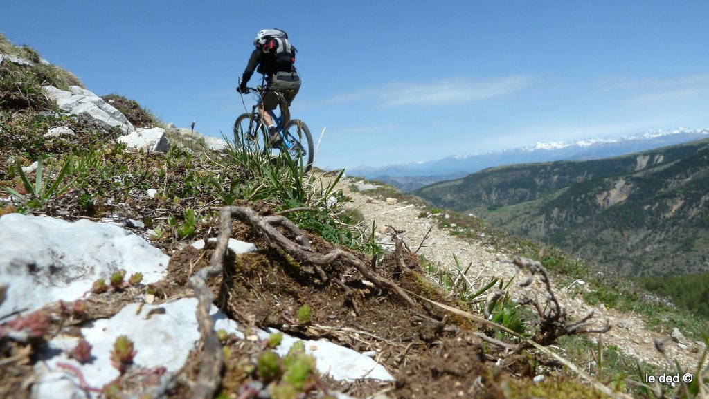 #9 sentier N des Monges : ça roule sentier N des Monges : ça roule