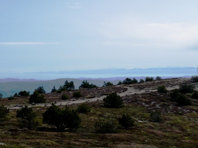 #8 Mont Mezenc : et sur l Mont Mezenc : et sur l'est, vue sur toutes les Alpes.