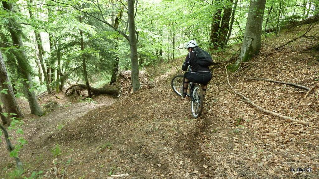 #6 Malaine : Ludico-technique ce sentier Malaine : Ludico-technique ce sentier