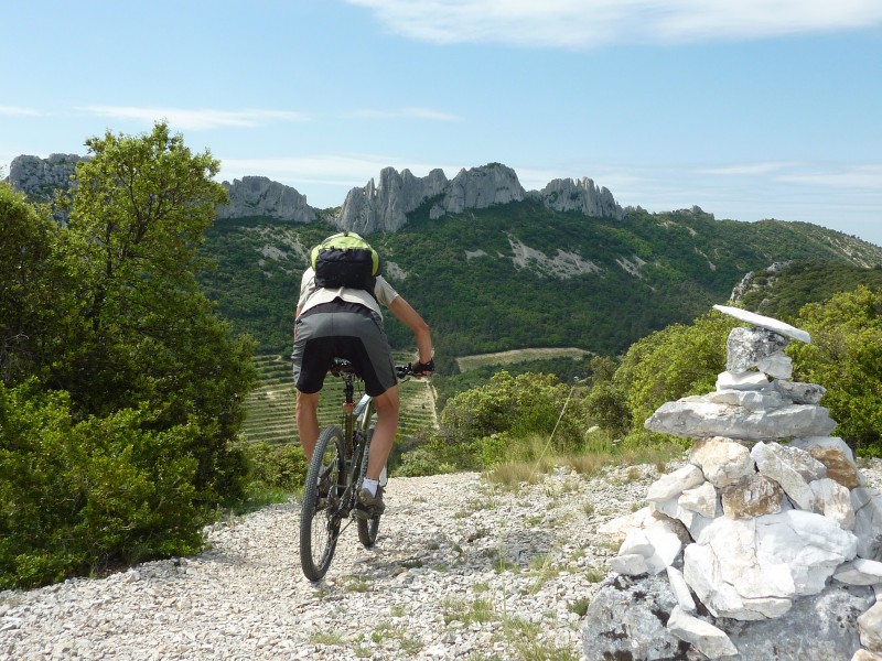 Début de descente : face aux Dentelles Sarrasines