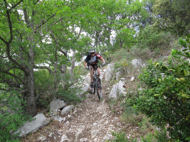 #4 Dentelles : Fontra Dentelles : Fontra