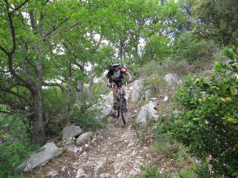 Dentelles : Fontra