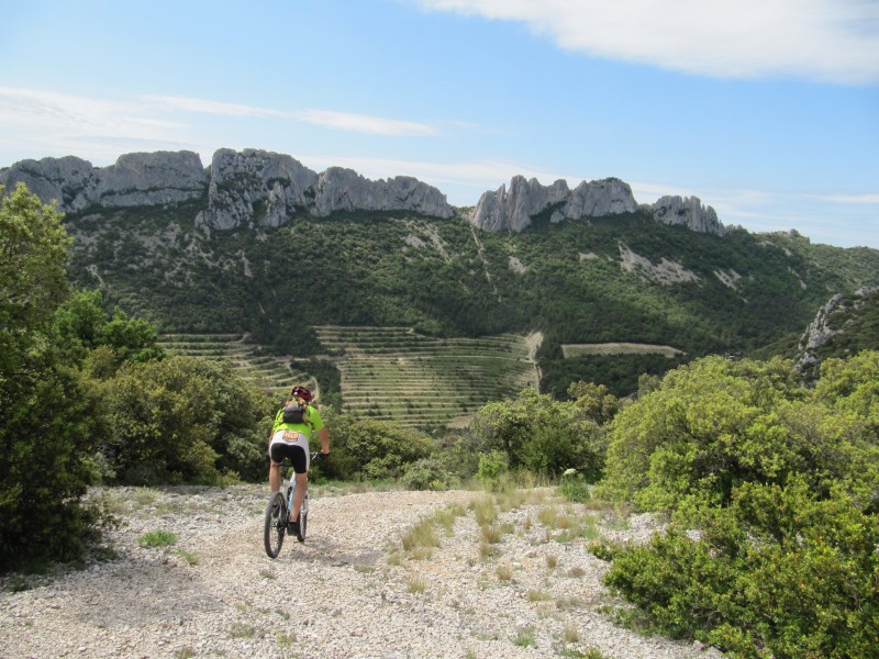 #10 Le Cayron Le Cayron