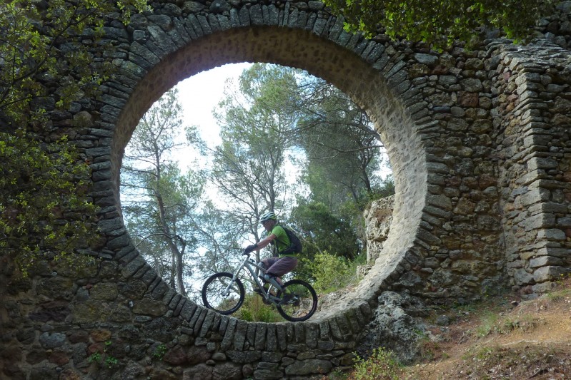 Un hamster à deux roues : Il n'a pas réussi à faire le tour complet !