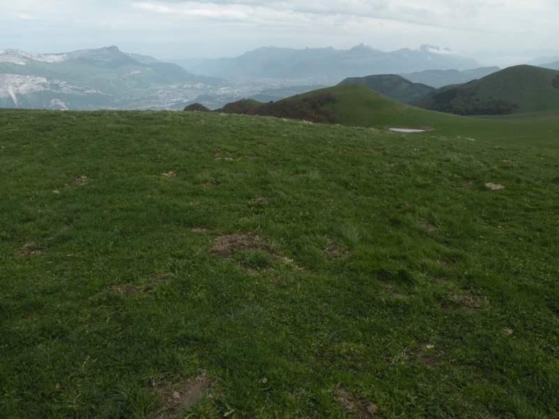 #1 Photo1 : En montant à la Peyrouse, la cuvette Grenobloise Photo1 : En montant à la Peyrouse, la cuvette Grenobloise