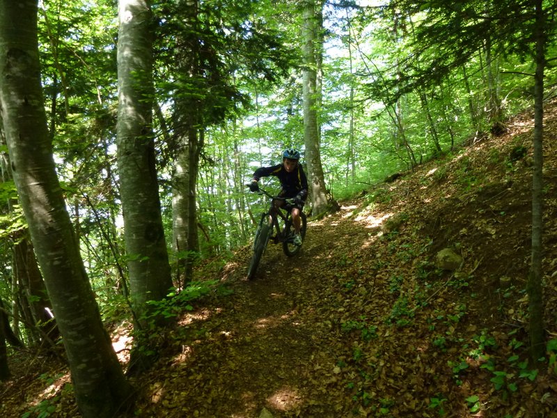 #3 Salève : Descente sur Beaumont Salève : Descente sur Beaumont