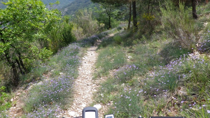 vallée de la tinée : un beau chemin...