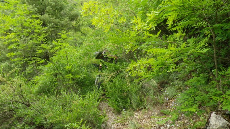 vallée du var : Il faudra un peu débroussailler...