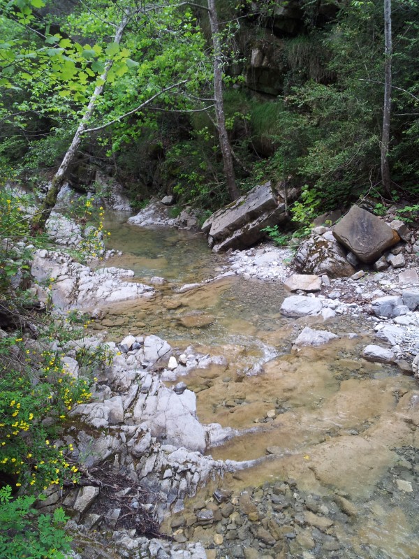 #6 Ploufffffffff : Meme s Ploufffffffff : Meme s'il ne fait pas très beau, j'ai fais l'autruche dans le Ruisseau de la Caussinièra.