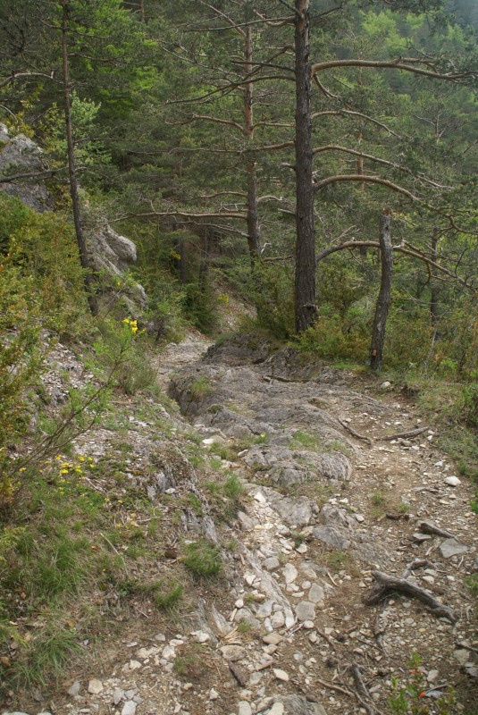 #6 Sous la cascade de Plainie : passage technique bien sympa Sous la cascade de Plainie : passage technique bien sympa