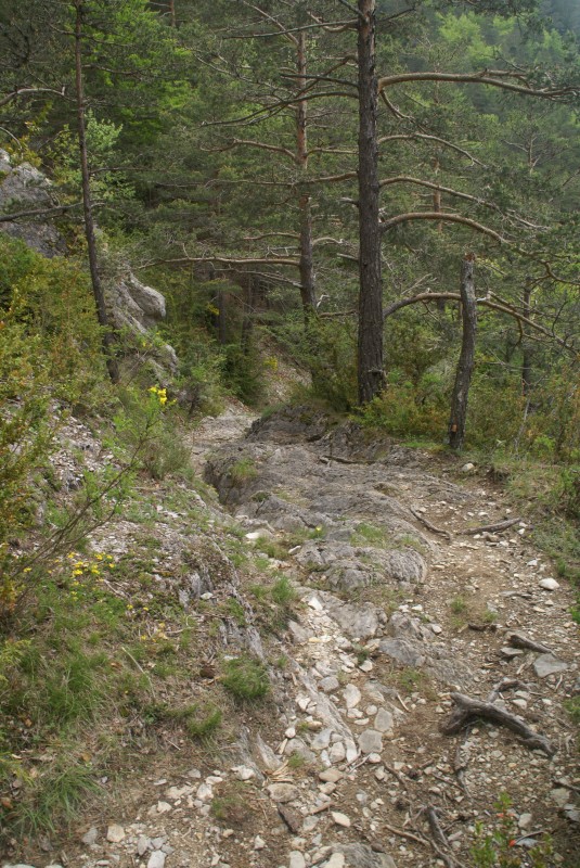 Sous la cascade de Plainie : passage technique bien sympa