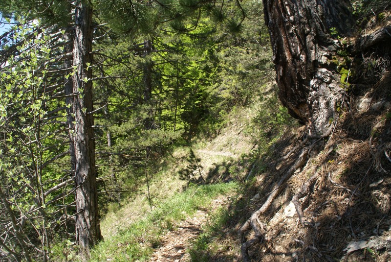 #2 Chemin de ronde : ...qui dure! Chemin de ronde : ...qui dure!