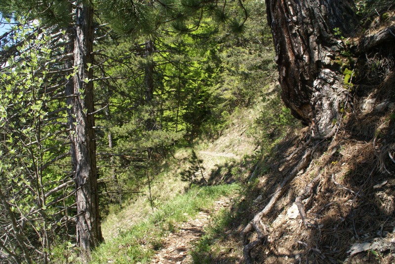 Chemin de ronde : ...qui dure!