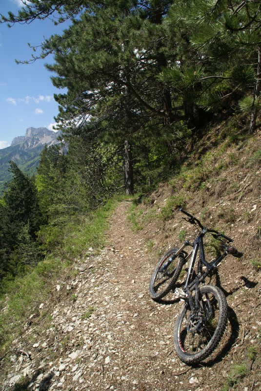 Chemin de ronde : un vrai régal...