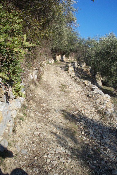 Ancien chemin de Laghet : Et on remonte sur ce superbe et large sentier.