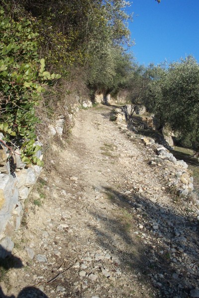 #6 Ancien chemin de Laghet : Et on remonte sur ce superbe et large sentier. Ancien chemin de Laghet : Et on remonte sur ce superbe et large sentier.