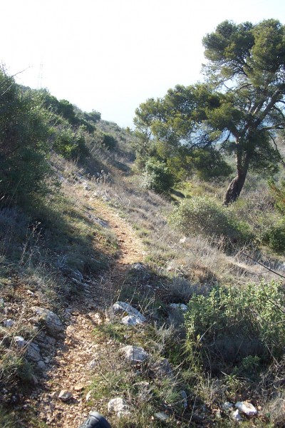 #4 Plateau Tercier : Photo prise en roulant ! Et pourtant cela glissait encore pas mal ! Plateau Tercier : Photo prise en roulant ! Et pourtant cela glissait encore pas mal !