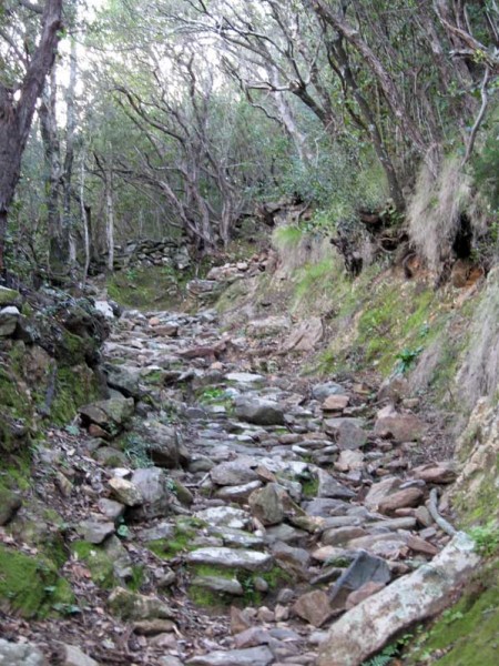 #7 chemin de croix : terrain typique chemin de croix : terrain typique