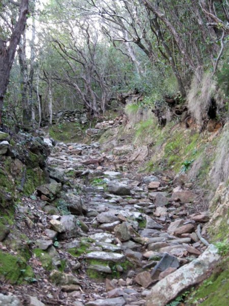 chemin de croix : terrain typique