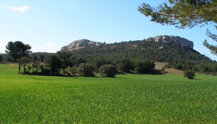 Le Mont Valence : Vert printanier