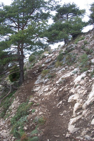 #8 Sentier : Bientôt Sentier : Bientôt