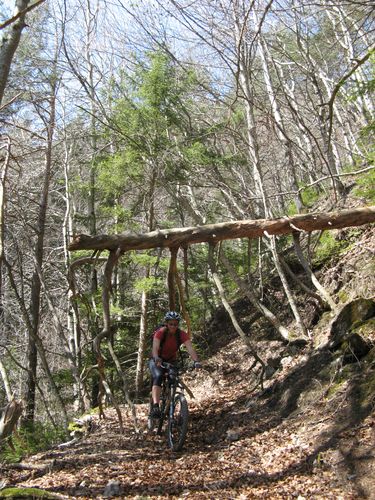 #7 Alizé : Obstacle dans Oulles... faut bien viser! Alizé : Obstacle dans Oulles... faut bien viser!