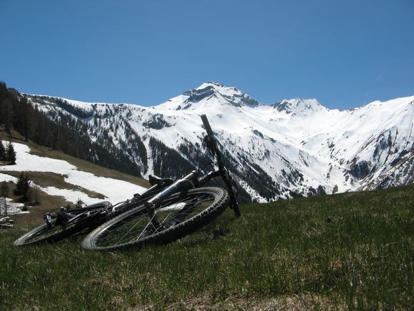 #9 Grand Renaud : Contraste bleu-blanc-vert. Grand Renaud : Contraste bleu-blanc-vert.