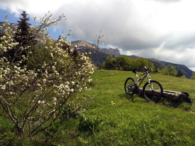#5 Pause : petite pause sous les Crocs Pause : petite pause sous les Crocs